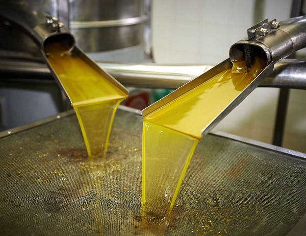 Процесс отжима подсолнечного масла - пресс для подсолнечного масла