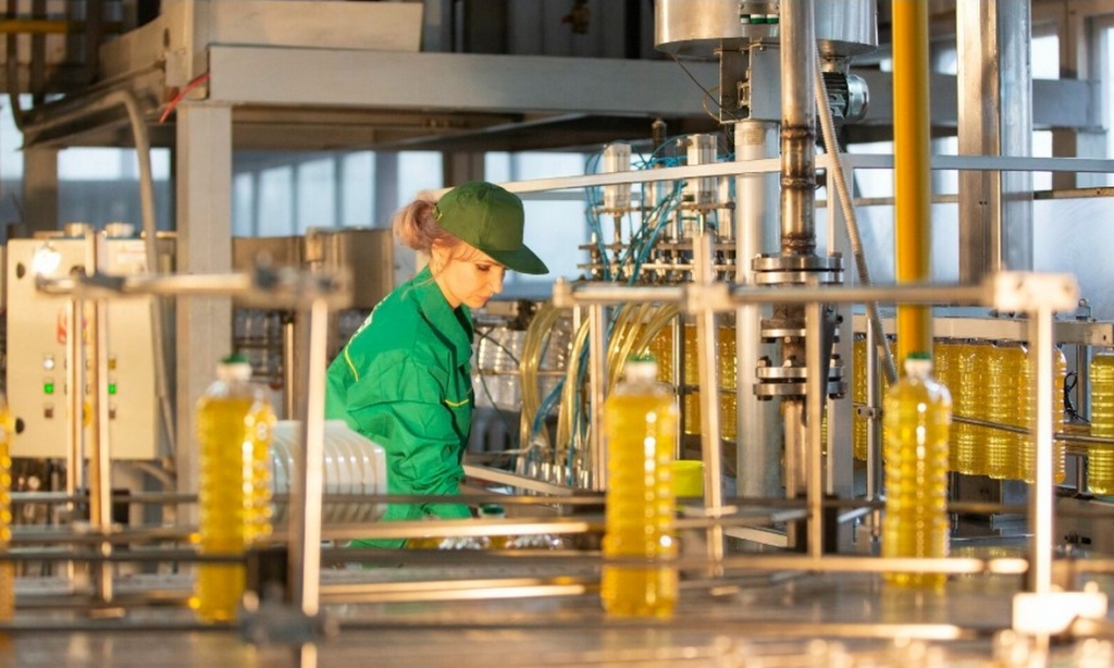 Как открыть бизнес по производству подсолнечного масла