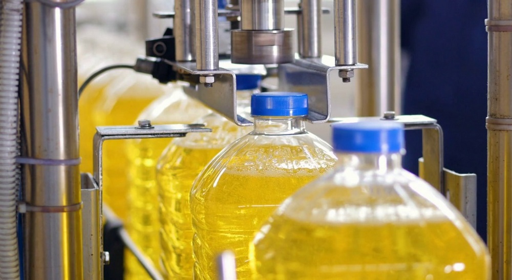 How to start sunflower oil production: step by step