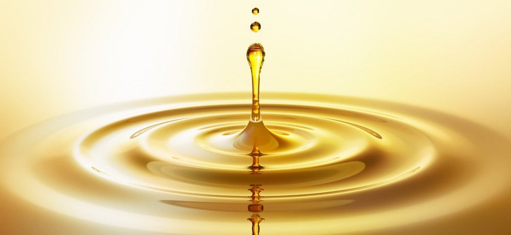 Обладнання для фільтрації рослинної олії: призначення та особливості