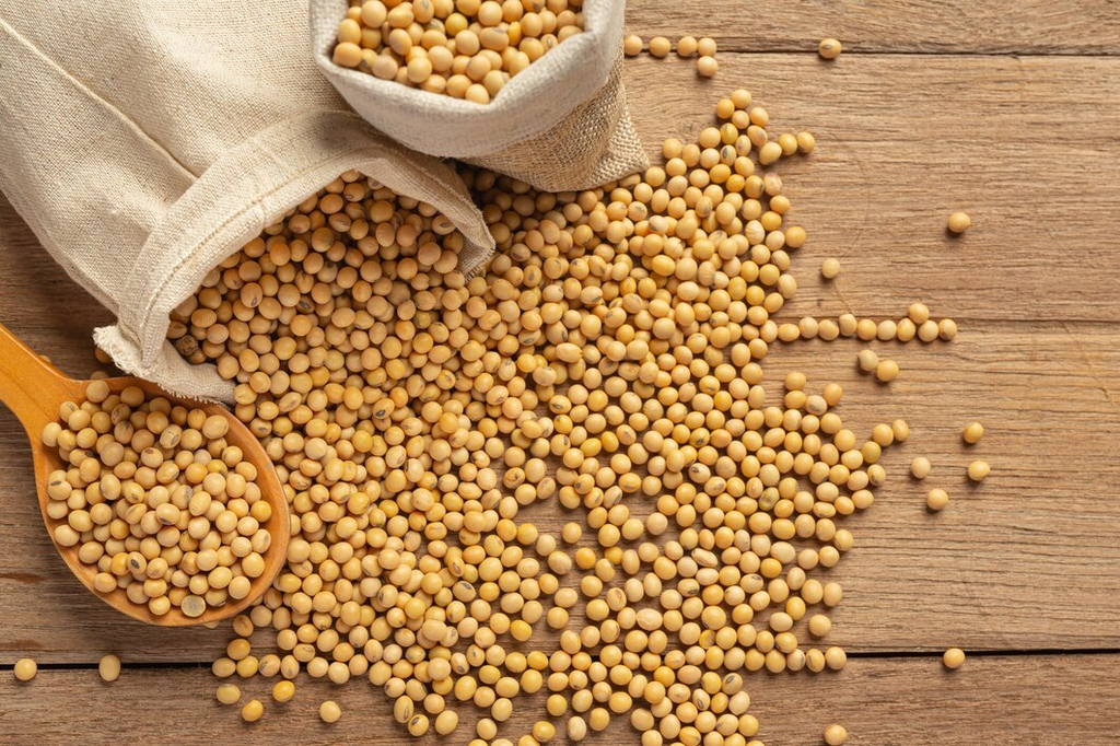 Переробка сої як бізнес: виробництво соєвої олії та макухи